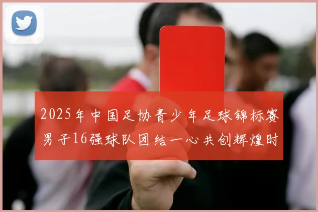 2025年中国足协青少年足球锦标赛男子16强球队团结一心共创辉煌时刻