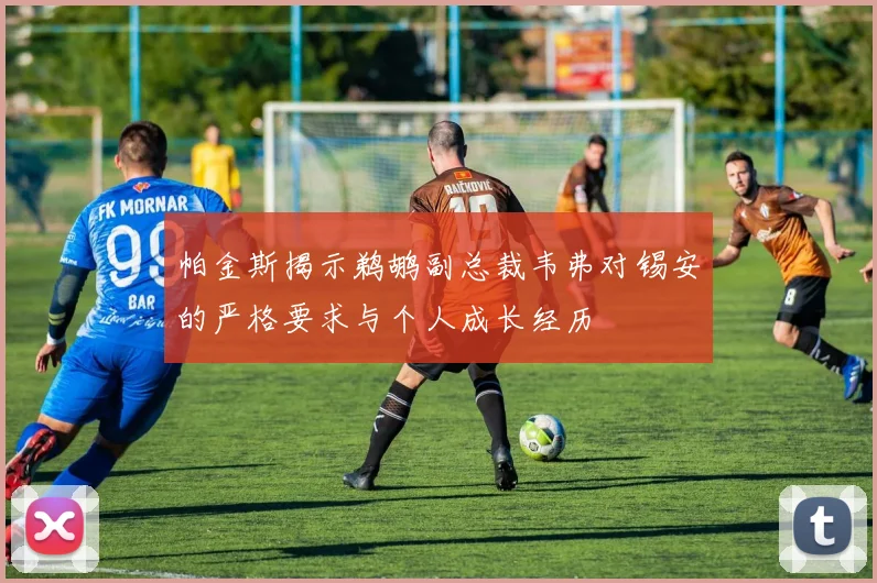 帕金斯揭示鹈鹕副总裁韦弗对锡安的严格要求与个人成长经历