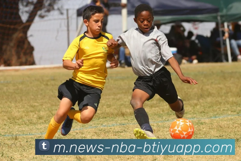 App Interface Preview